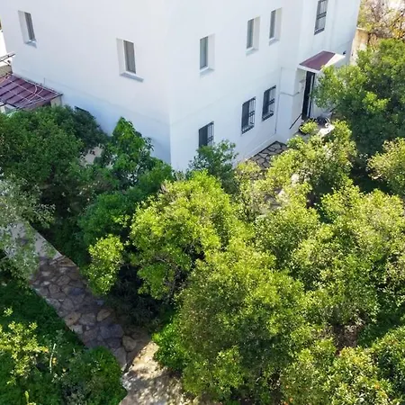 Apartment One Br Vacation W/garden In *